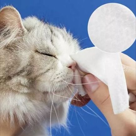 Pet Wipe Wipe အထည်: အိမ်မွေးတိရစ္ဆာန်တစ်ကိုယ်ရေသန့်ရှင်းရေးအတွက် Gadgets